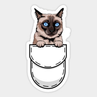 Funny Siamese Pocket Cat Sticker